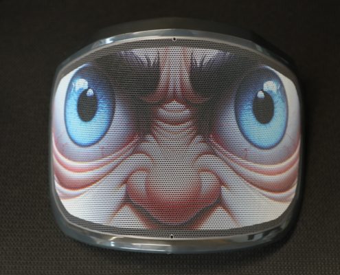 PROTOS Launching Exclusive Customised Visors for your Protos helmet - Kiwi Workgear