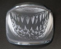 Thumbnail for PROTOS Launching Exclusive Customised Visors for your Protos helmet - Kiwi Workgear