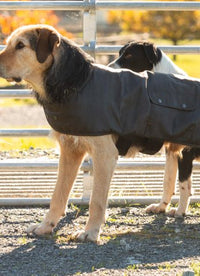 Thumbnail for STYX MILL Oilskin Brown Lined Dog Coat - Kiwi Workgear