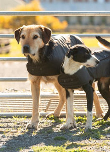 STYX MILL Oilskin Brown Lined Dog Coat - Kiwi Workgear